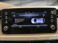 Skoda Scala -31% 1.0 TSI BVA 115cv+MIRRORLINK+CAM+LED+Opts Grijs - thumbnail 25