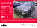 Audi Q5 Sportback S line 50TFSI e quattro NAVI LED VC Grau - thumbnail 1