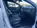 Kia Ceed SW / cee'd SW Ceed Sportswagon 1.4 T-GDI GT Line *Memory*Navi Fehér - thumbnail 14