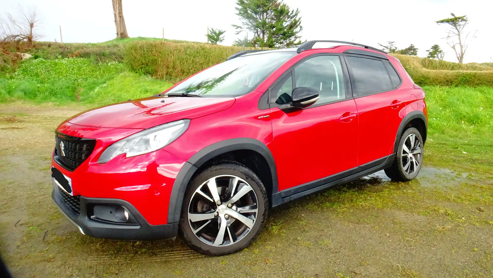 Peugeot 2008 2008+PureTech+130ch+S - 1