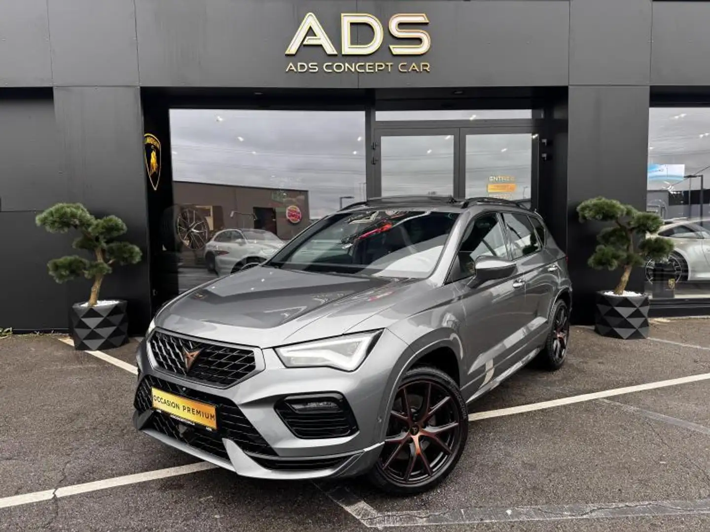SEAT Ateca Cupra 2.0 300cv Grau - 2