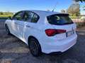 Fiat Tipo Tipo 5 porte II 2016 5p 1.4 tjt Lounge Gpl 120cv Blanco - thumbnail 6
