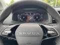 Skoda Karoq Tour 2.0 TDI DSG AHK*NAVI*pACC*MATRIX Schwarz - thumbnail 9