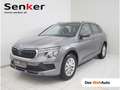 Skoda Kamiq Selection TSI Grau - thumbnail 1