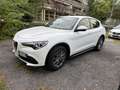 Alfa Romeo Stelvio 2.2 t Business rwd 160cv auto - thumbnail 1