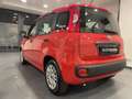 Fiat Panda 1.0 FireFly S&S Hybrid Easy Red - thumbnail 4