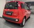 Fiat Panda 1.0 FireFly S&S Hybrid Easy Red - thumbnail 6