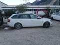 Skoda Octavia Octavia Combi 1,6 TDI Style Euro6B DSG  Limited Weiß - thumbnail 7