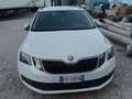 Skoda Octavia Octavia Combi 1,6 TDI Style Euro6B DSG  Limited Weiß - thumbnail 3