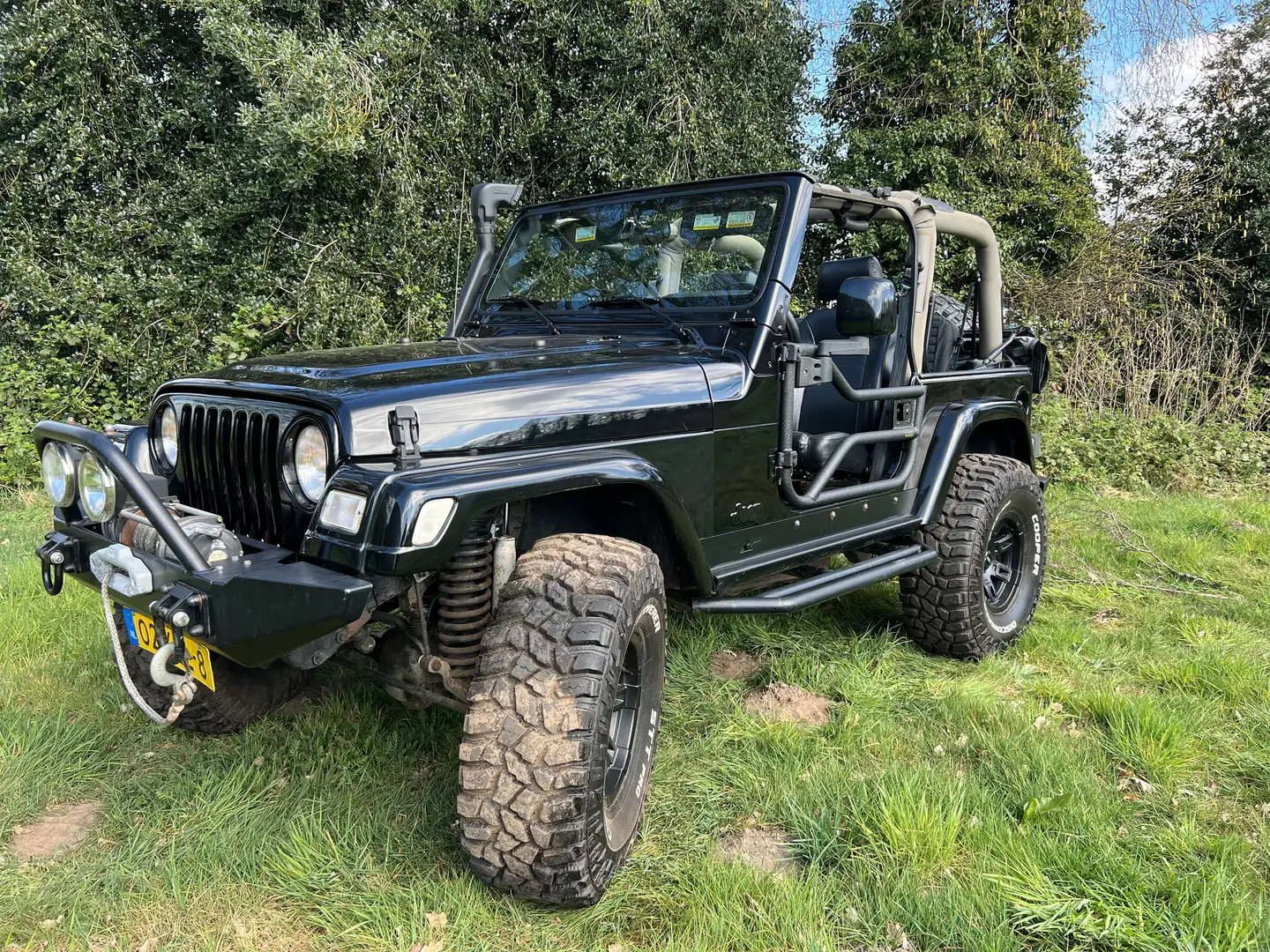Jeep Wrangler Wrangler TJ 4.0i Hart- en softtop Negru - 1