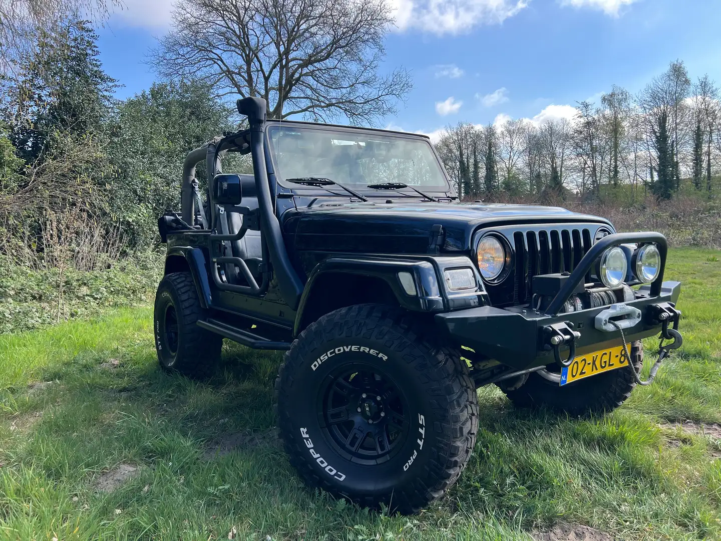 Jeep Wrangler Wrangler TJ 4.0i Hart- en softtop Negru - 2