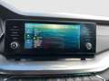 Skoda Octavia Business TDI Blau - thumbnail 11