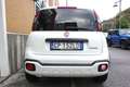 Fiat Panda 1.0 FireFly S&S Hybrid Red UNIPRO Weiß - thumbnail 4