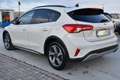 Ford Focus 1.5 EcoBlue 120 CV automatico 5p. Active Bianco - thumbnail 6