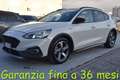 Ford Focus 1.5 EcoBlue 120 CV automatico 5p. Active Bianco - thumbnail 1