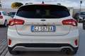 Ford Focus 1.5 EcoBlue 120 CV automatico 5p. Active Bianco - thumbnail 5