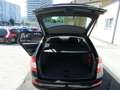 Skoda Octavia Elegance Schwarz - thumbnail 10
