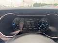 Ford Mustang GT FASTBACK 5.0L V8 450ch Bleu - thumbnail 14