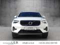 Volvo XC40 B3 Core Aut. Weiß - thumbnail 6