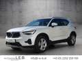 Volvo XC40 B3 Core Aut. Weiß - thumbnail 1