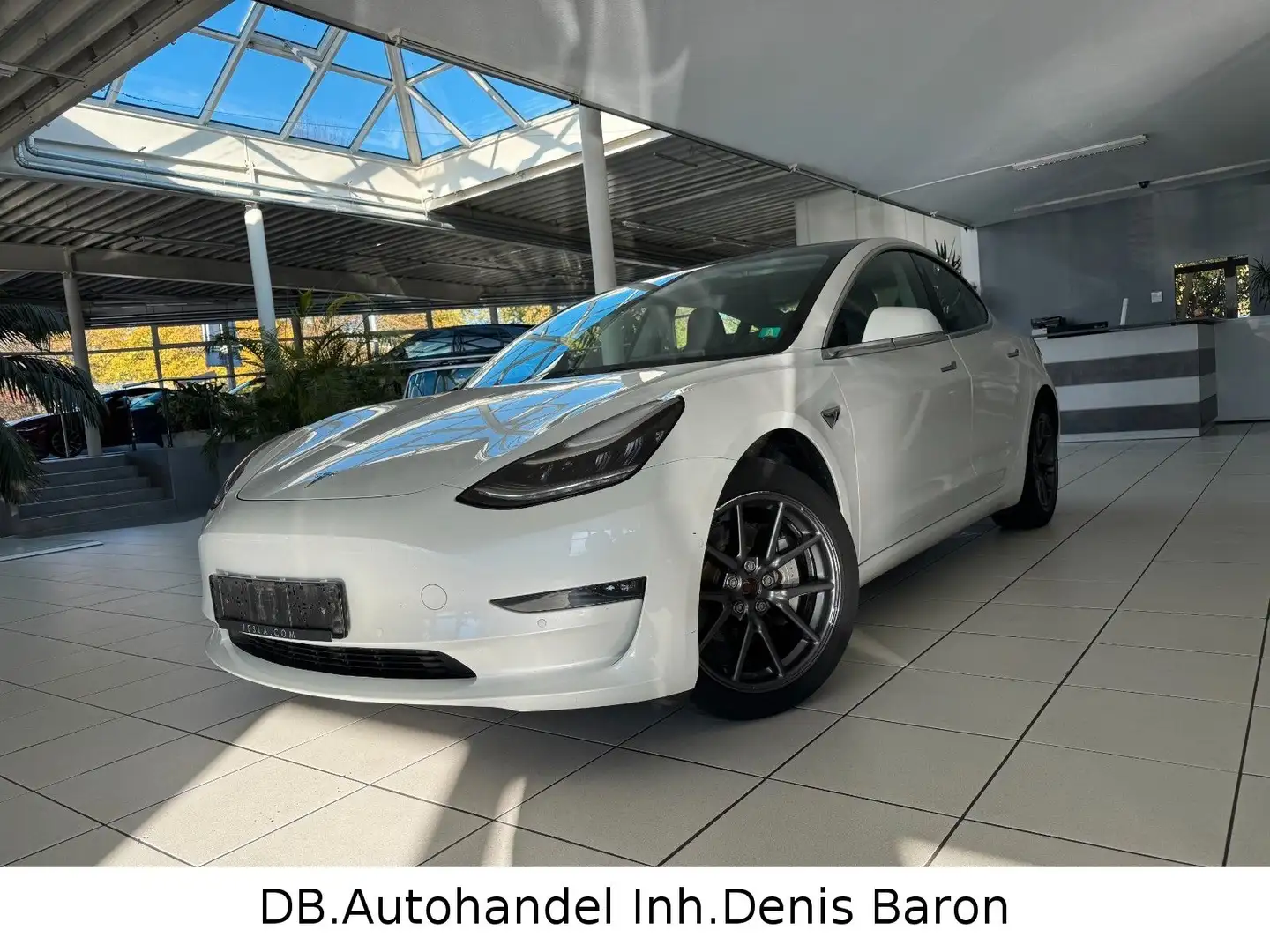 Tesla Model 3 Long Range Dual AWD Pano Leder 360° Weiß - 1