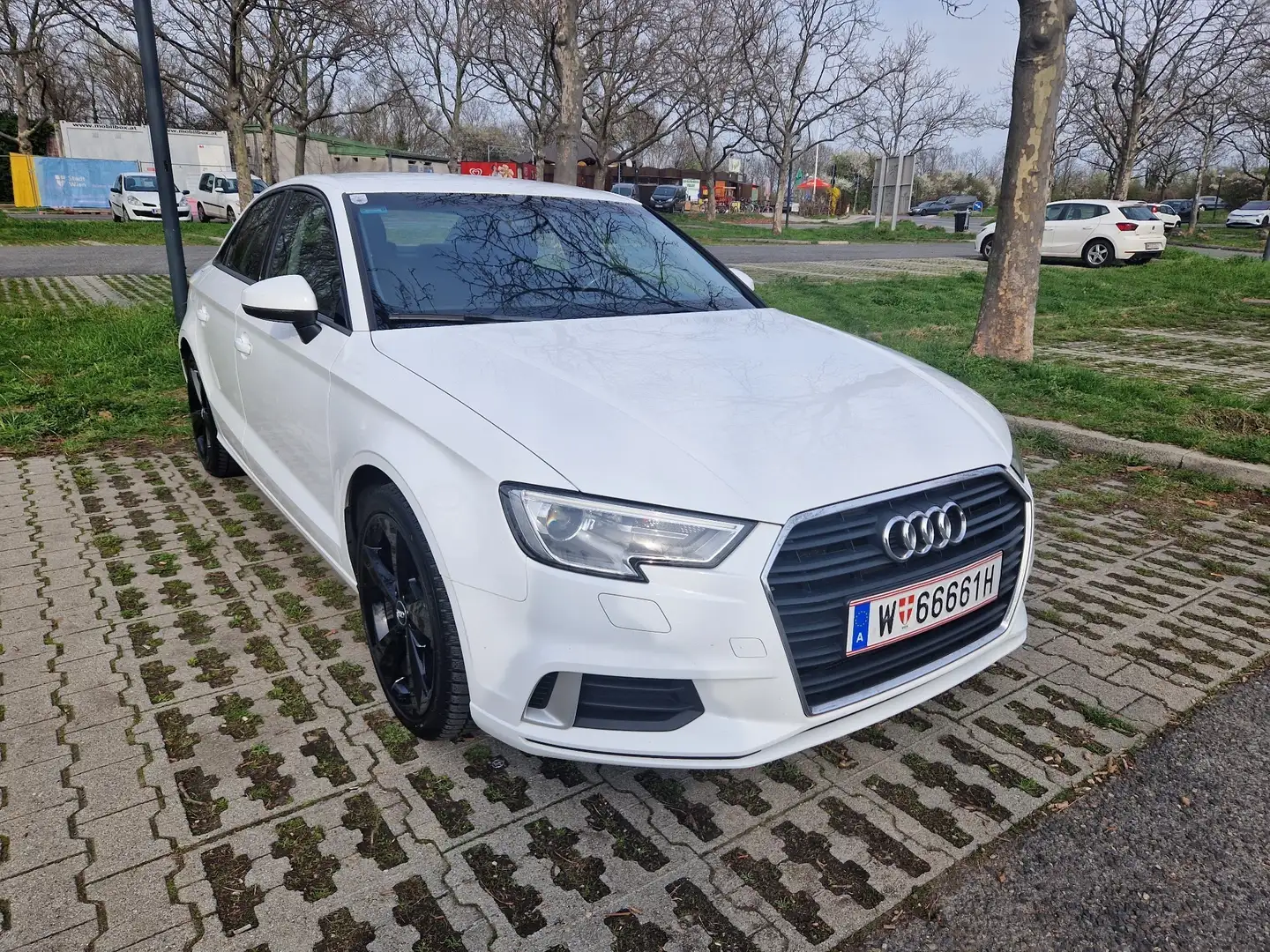 Audi A3 1,6 TDI S-tronic sport Weiß - 2