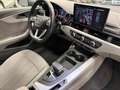 Audi A4 A4 Avant 40 2.0 tdi mhev Business 204cv s-tronic Grijs - thumbnail 11