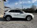 Audi Q3 35 2.0 tdi Business s-tronic Blanco - thumbnail 6