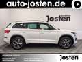 Skoda Kodiaq Sportline 2.0 TSI DSG 4X4 AHK CarPlay Weiß - thumbnail 2