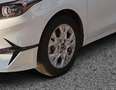 Kia Ceed SW / cee'd SW 1.5 T-GDI DCT7 OPF Vision / Navi / ACC Weiß - thumbnail 12