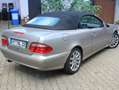 Mercedes-Benz CLK 200 Cabrio Kompressor Avantgarde Final Edition Or - thumbnail 14