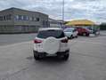 Ford EcoSport 1.5 tdci Business 95cv E6 Blanc - thumbnail 6