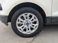 Ford EcoSport 1.5 tdci Business 95cv E6 Blanc - thumbnail 19
