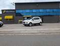 Ford EcoSport 1.5 tdci Business 95cv E6 Blanc - thumbnail 17