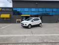 Ford EcoSport 1.5 tdci Business 95cv E6 Blanc - thumbnail 1