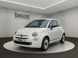 Fiat 500 Basis 1.0 Hybrid-Benzin, Komfort-Paket, Klim