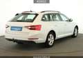 Skoda Superb Superb Combi  2.0 TDI Ambition #AHK#DSG#DAB+#GRA Weiß - thumbnail 6