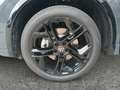 Volkswagen Tiguan Sport TDI 4MOTION DSG Grau - thumbnail 14