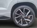 Skoda Karoq 2.0 TSI DSG Sportline 4x4 PANO+CANTON+KAM Klima Grau - thumbnail 10