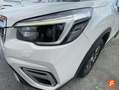 Subaru Forester 2.0i Hybrid Executive CVT Blanco - thumbnail 12