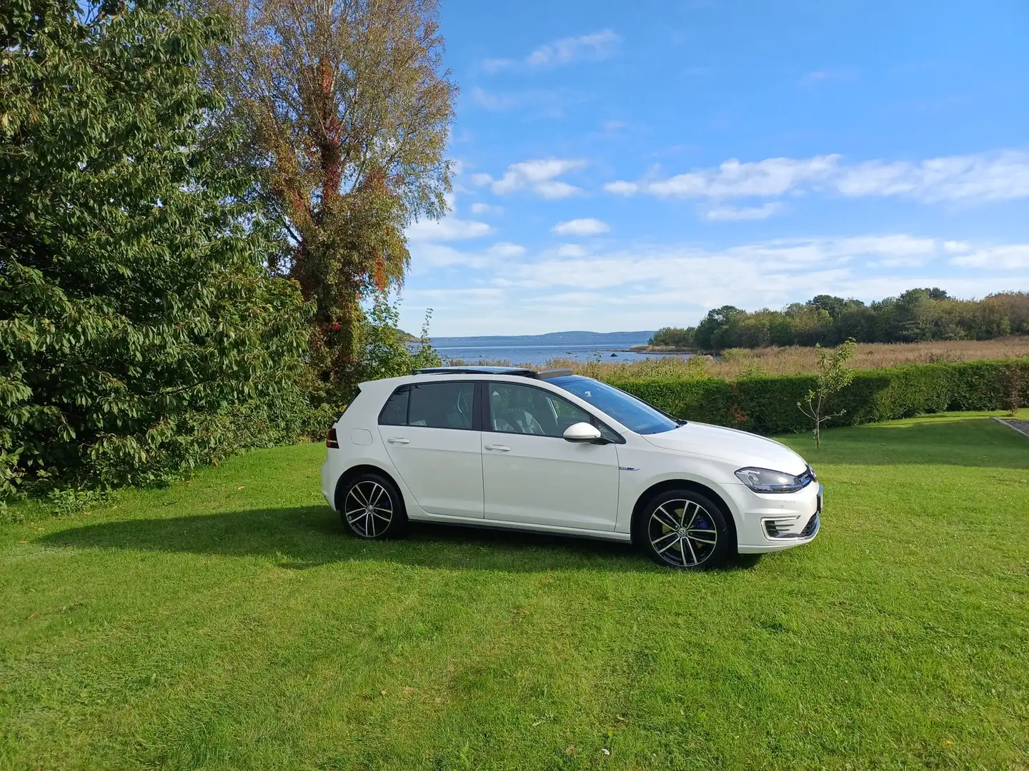 Volkswagen Golf Golf 1.4 GTE Plug-In-Hybrid DSG Weiß - 1