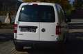 Volkswagen Caddy Kastenwagen Entry+ 1,6 TDI DPF Blanco - thumbnail 5