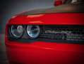 Dodge Challenger 50th Limited Edition 17 of 70  Shaker Red - thumbnail 12