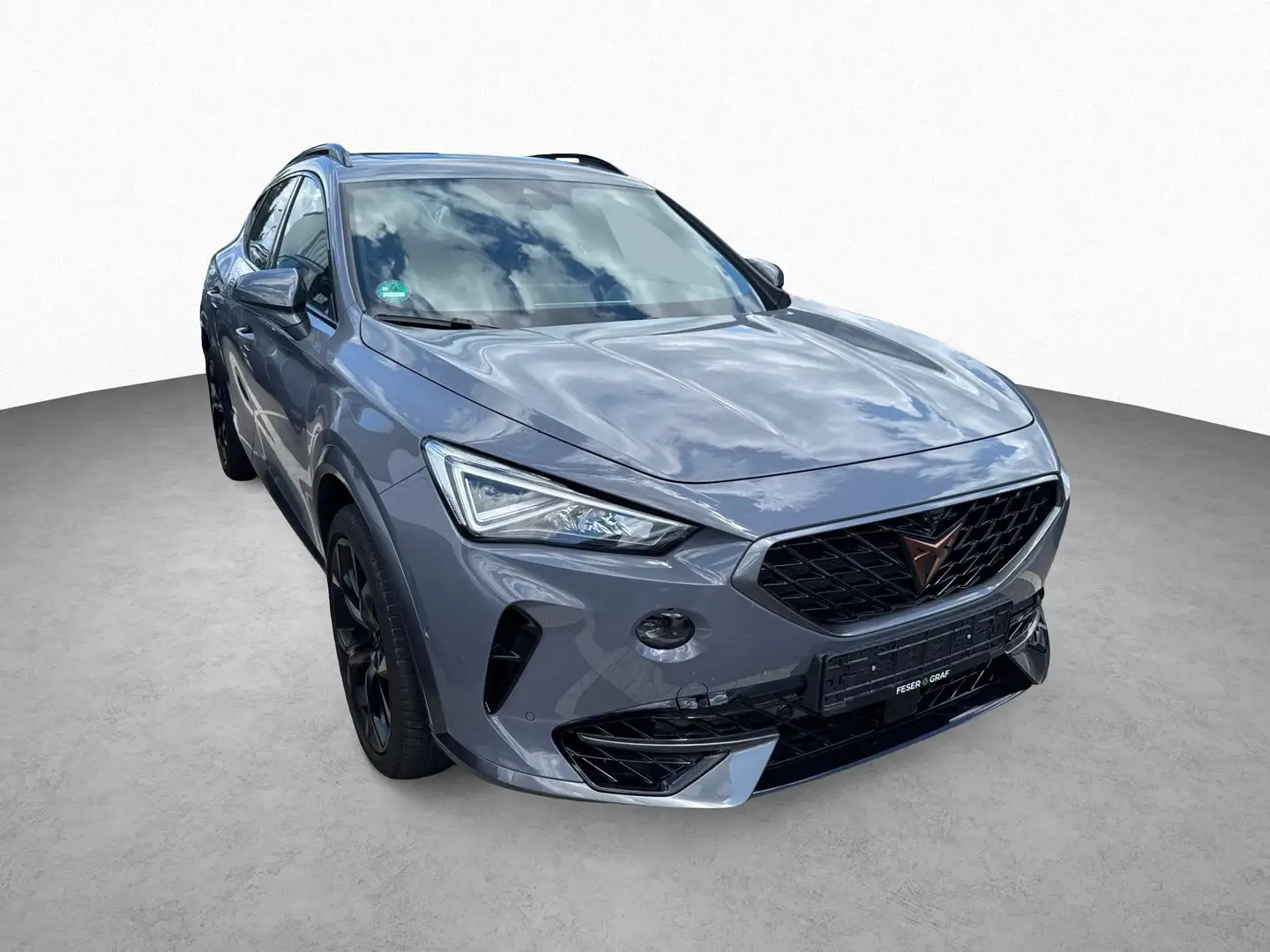 CUPRA Formentor VZ 2.0 TSI 4Drive DSG PANO NAVI FaPaXL Grau - 2