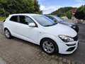 Kia Ceed / cee'd Ceed 1.6 CVVT Spirit, LPG, Steuerketten Neu Weiß - thumbnail 2
