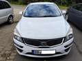 Kia Ceed / cee'd Ceed 1.6 CVVT Spirit, LPG, Steuerketten Neu Weiß - thumbnail 5