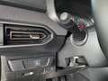 Dacia Sandero Stepway  Tce90 Expression |SHZ|PDC Vert - thumbnail 27