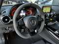 Mercedes-Benz AMG GT R *Carbon*Keramik*AMG Track Package* Šedá - thumbnail 28