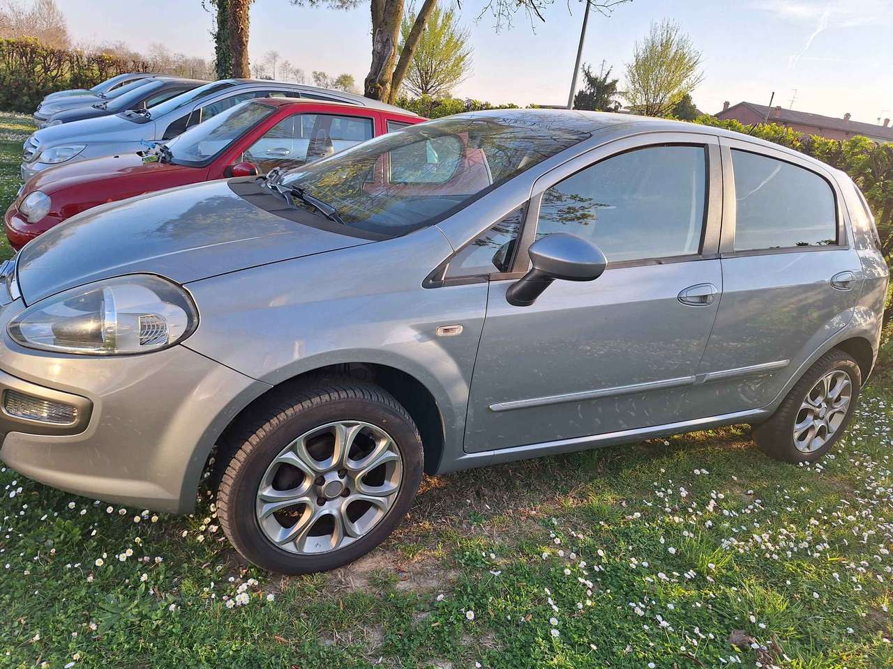 Fiat Punto Evo Punto III Evo 5p 1.4 natural power Dynamic 70cv