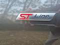 Ford Kuga KUGA  ST-Line X 2.0 TDCI AUT. LEDER 13999NETTO Grau - thumbnail 23